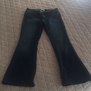 Lila Ryan Distressed Nikita Flare